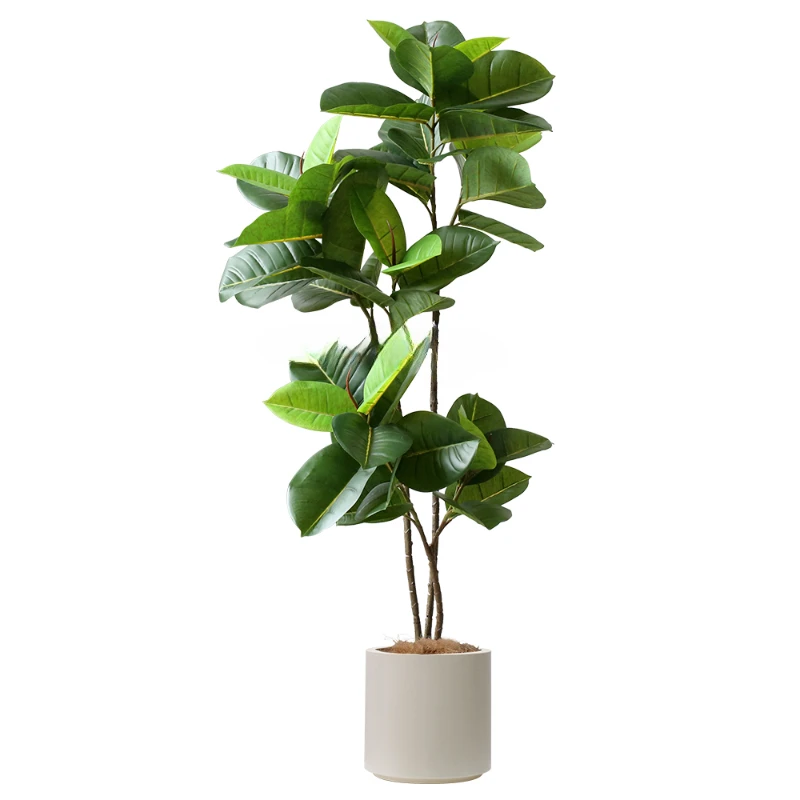Nordic Artificial Plant Decoration Fake Green Plant Decoration Indoor Potted Green Leaf King Kong Plant Bonsai desk decoration
Nordic Artificial Plant Decoration Fake Green Plant Decoration Indoor Potted Green Leaf King Kong Plant Bonsai desk decoration