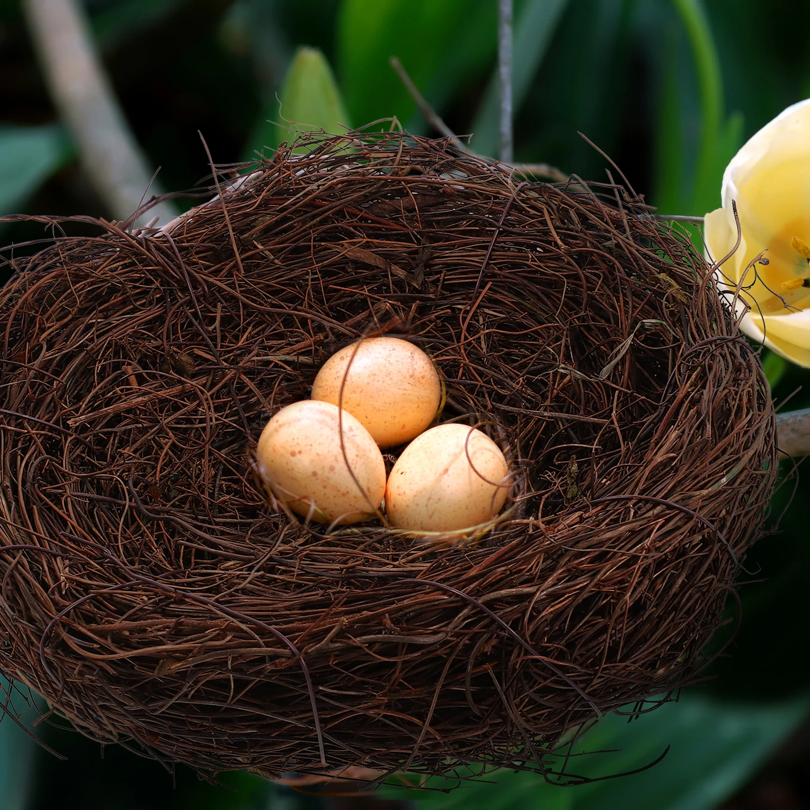 2 Pcs Rattan Bird Nest Rustic Decor Decorative Basket Home Nests Woven Tree Vine Small Birds
2 Pcs Rattan Bird Nest Rustic Decor Decorative Basket Home Nests Woven Tree Vine Small Birds