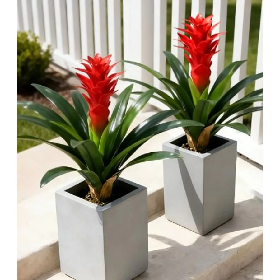 Fake Flowers Plants for Outdoors, 2 Pcs 16.93" Bromeliad Artificial Flowers Uv Resistant Realistic Faux Flowers for Outdoor Pla
Fake Flowers Plants for Outdoors, 2 Pcs 16.93" Bromeliad Artificial Flowers Uv Resistant Realistic Faux Flowers for Outdoor Pla