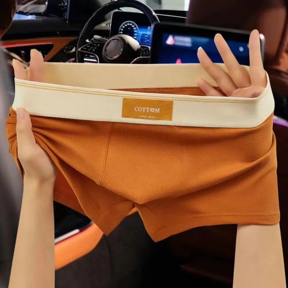 4 шт., модные однотонные мужские трусы-боксеры L-4XL, нижнее белье больших размеров для мужчин, 4 шт., нижнее белье, шорты, трусы для мальчиков
4 шт., модные однотонные мужские трусы-боксеры L-4XL, нижнее белье больших размеров для мужчин, 4 шт., нижнее белье, шорты, трусы для мальчиков