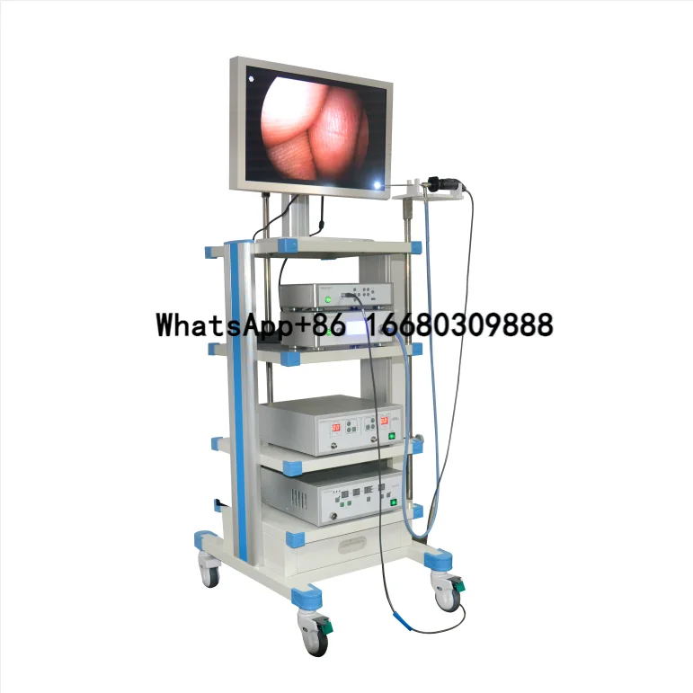Factory Price Hospital Clinical Surgical Medical Endoscope Trolley Cart/Tower/Endiscioy module
Factory Price Hospital Clinical Surgical Medical Endoscope Trolley Cart/Tower/Endiscioy module