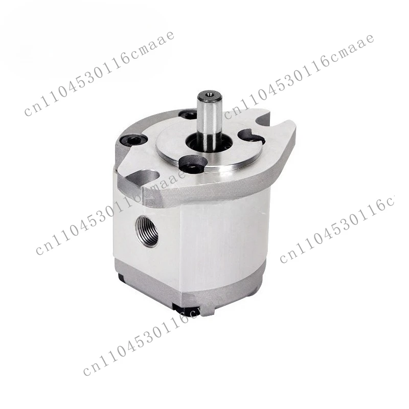 HGP-1A-F1R Hydraulic Gear Pump Booster High Pressure Gear Mechanical Machine Tool Gear Hydraulic
HGP-1A-F1R Hydraulic Gear Pump Booster High Pressure Gear Mechanical Machine Tool Gear Hydraulic