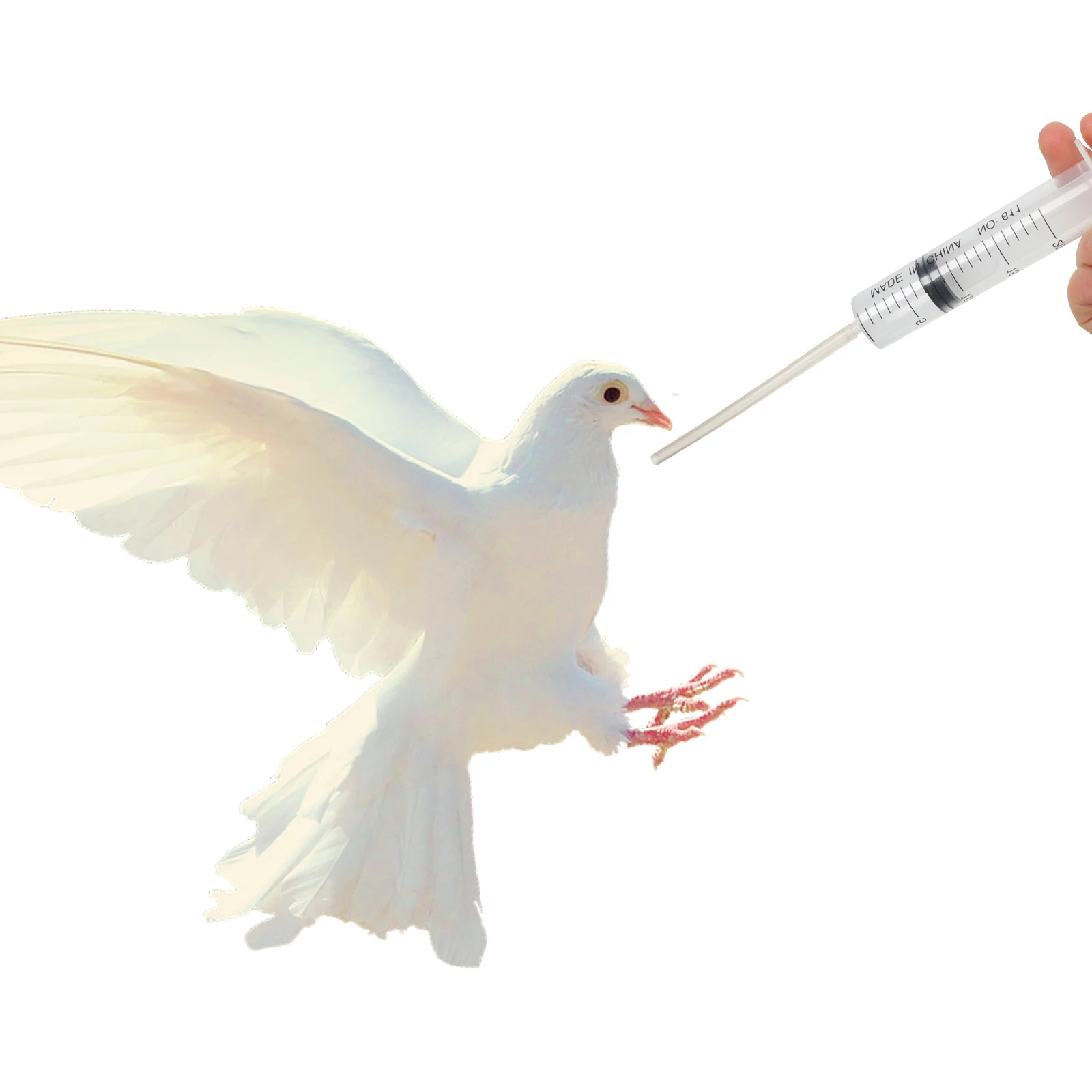 4pcs Pet Feeder Injector H Feeding Portable Pills Dispenser Plastic Parrot Shooters Pigeon Dispensers Easy Use
4pcs Pet Feeder Injector H Feeding Portable Pills Dispenser Plastic Parrot Shooters Pigeon Dispensers Easy Use