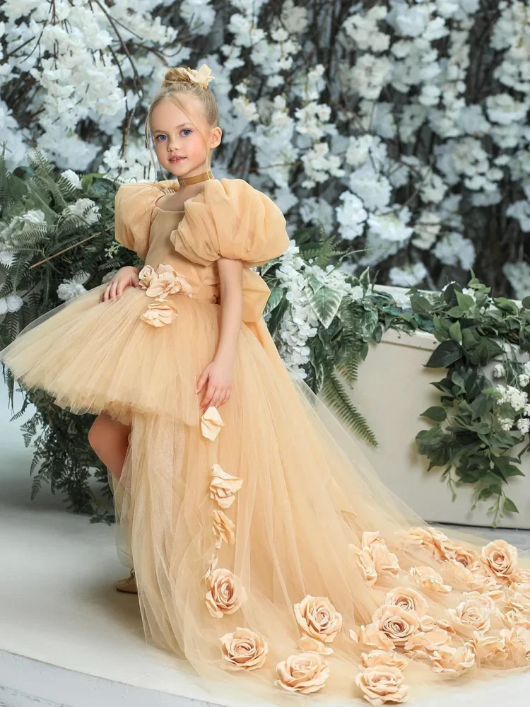 Puff Sleeves Champagne Flower Girl Dress 3D Flowers High-Low Tulle Dress Girls First Communion Birthday Party Gown Birthday Gown
Puff Sleeves Champagne Flower Girl Dress 3D Flowers High-Low Tulle Dress Girls First Communion Birthday Party Gown Birthday Gown
