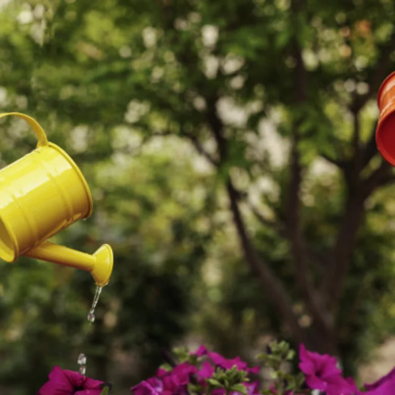 Адаптер 12/14/17 мм для радиоуправляемого грузовика ARRMA Mojave 4S, автомобильные шины масштаба 1/8 W219, детали для обновления модели грузовика Arrma HSP HPI
Адаптер 12/14/17 мм для радиоуправляемого грузовика ARRMA Mojave 4S, автомобильные шины масштаба 1/8 W219, детали для обновления модели грузовика Arrma HSP HPI