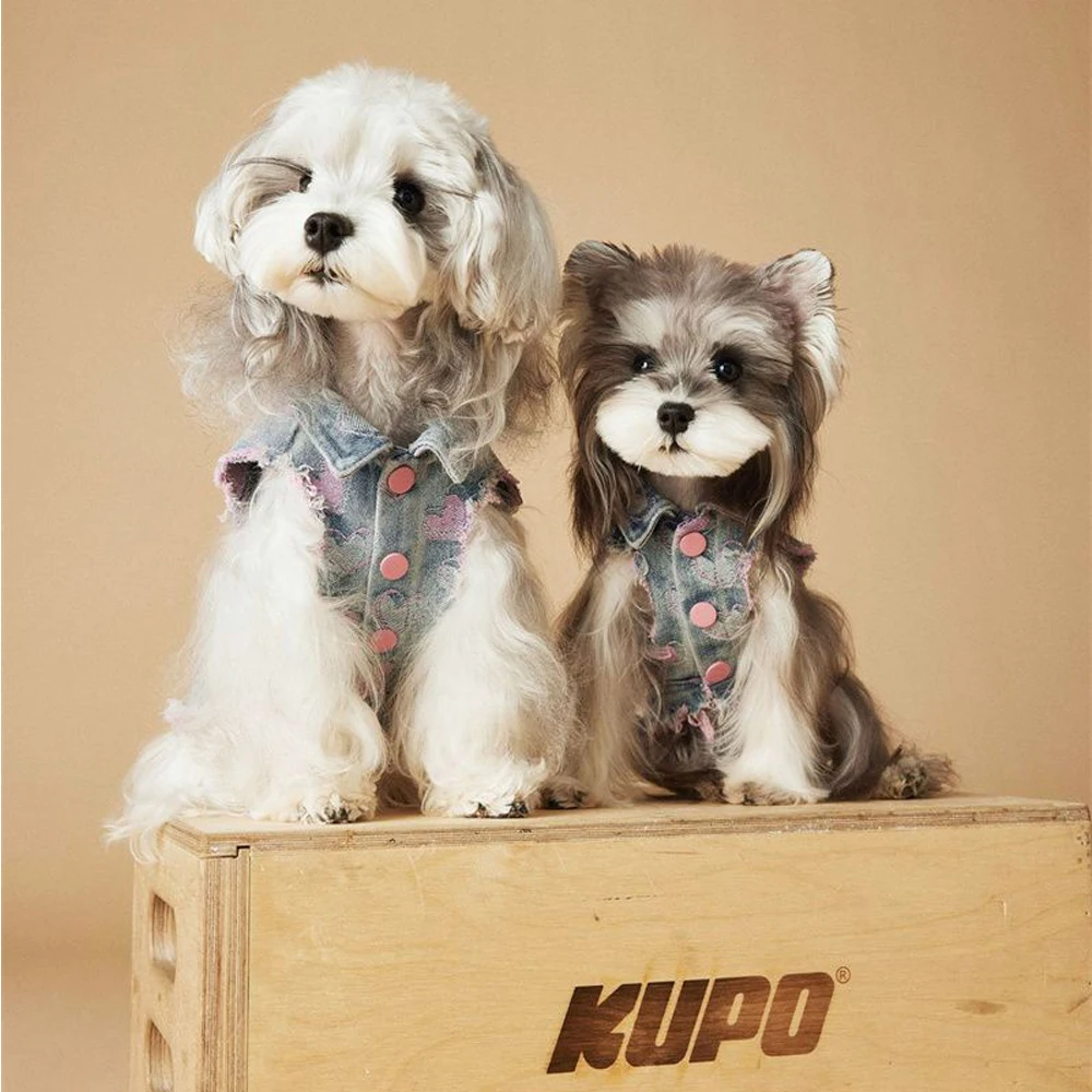 Pet Dogs Cats Singlet Puppy Designer Towable Clothes Small Medium Chihuahua Frenchie Yorkie Bear Schnauzer Fashion Cowboy Vest
Pet Dogs Cats Singlet Puppy Designer Towable Clothes Small Medium Chihuahua Frenchie Yorkie Bear Schnauzer Fashion Cowboy Vest