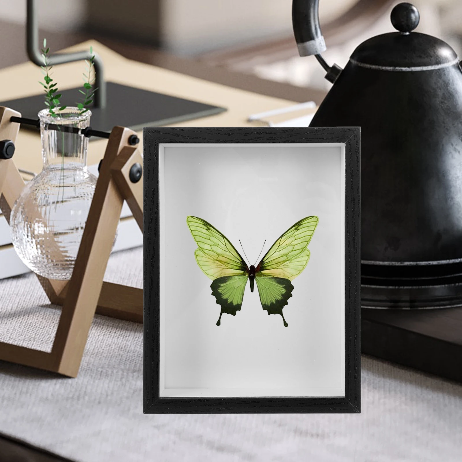 Insect Specimens Photo Frame Butterfly Display Case Genuine Butterflies Clear View Wooden Box Dried Flower Storage Medal
Insect Specimens Photo Frame Butterfly Display Case Genuine Butterflies Clear View Wooden Box Dried Flower Storage Medal
