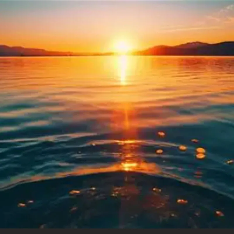 MS-5646WP Servo 180 Degree Metal Gear Digital Servo Compatible withsuitable for most 1/6 scale models
MS-5646WP Servo 180 Degree Metal Gear Digital Servo Compatible withsuitable for most 1/6 scale models