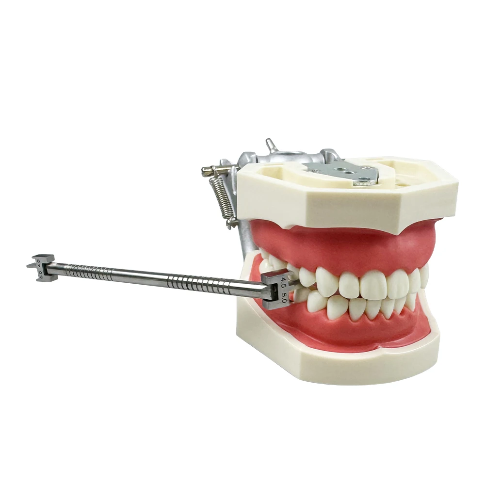 1pcs Dental Stainless Steel Orthodontic Bracket Locator Adjustable Precise Positioning Bracket Dental Instrument Tools
1pcs Dental Stainless Steel Orthodontic Bracket Locator Adjustable Precise Positioning Bracket Dental Instrument Tools