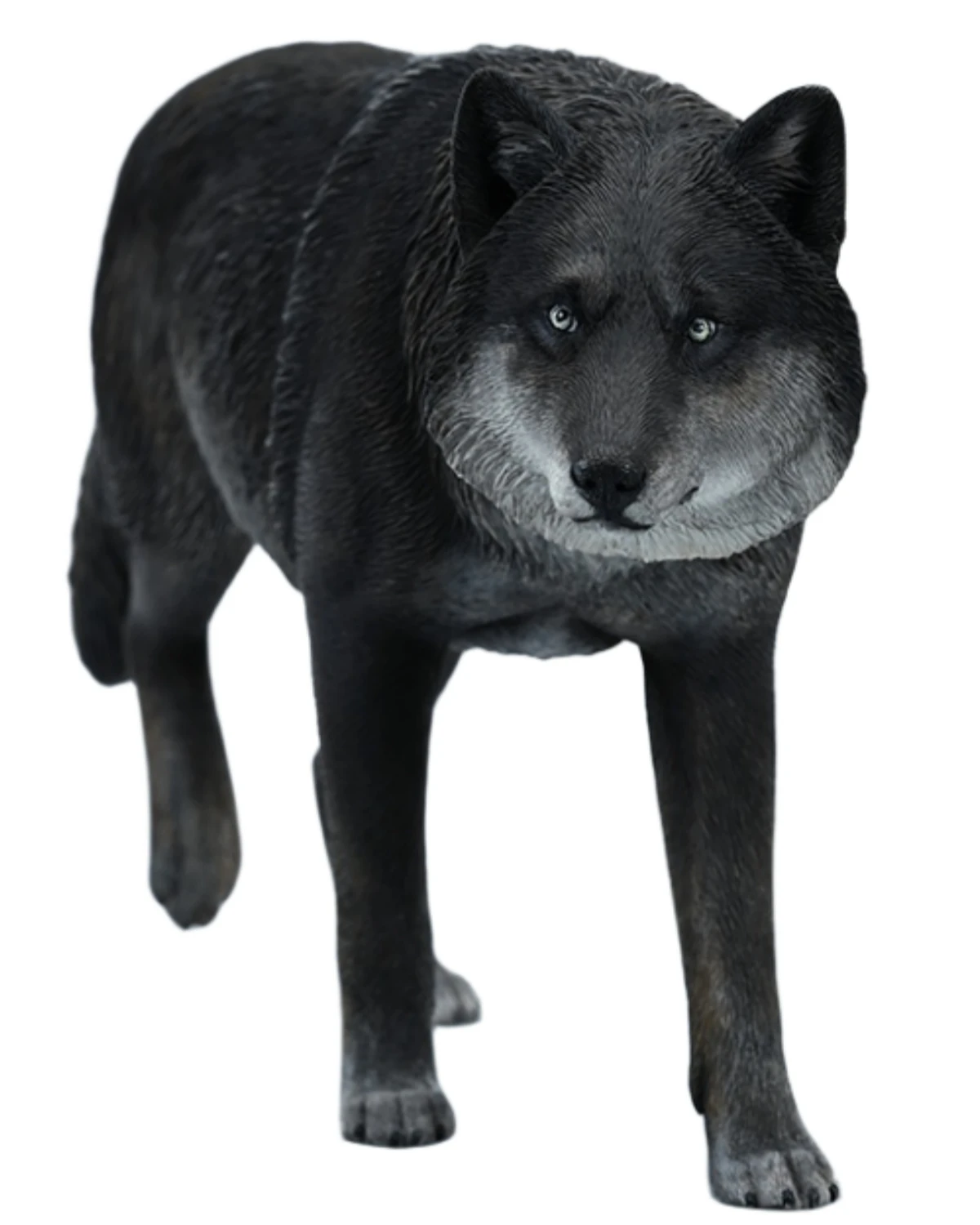 HiPlay JXK Wolf Common Gray Wolf Expertly Hand-Painted Lifelike Safe Resin 1:6 Animal Figurine
HiPlay JXK Wolf Common Gray Wolf Expertly Hand-Painted Lifelike Safe Resin 1:6 Animal Figurine