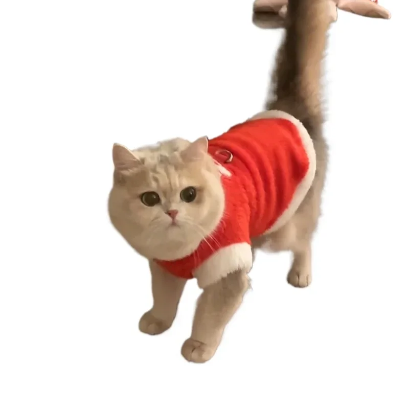 Anti-hair loss autumn and winter red festive gold gradient British short ragdoll cat pet cat New Year's clothing
Anti-hair loss autumn and winter red festive gold gradient British short ragdoll cat pet cat New Year's clothing