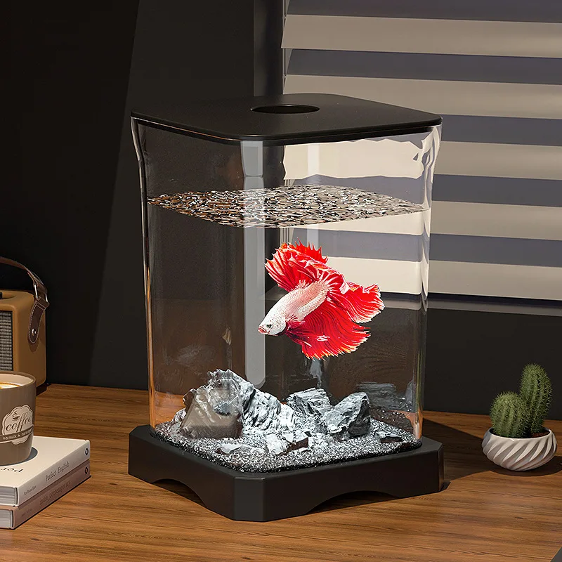 Fish Farm Ornamental Fish Aquariums Salon Entrance Hall Personality Aquariums Balcony Accent Home & Garden El Acuario Lsyg
Fish Farm Ornamental Fish Aquariums Salon Entrance Hall Personality Aquariums Balcony Accent Home & Garden El Acuario Lsyg