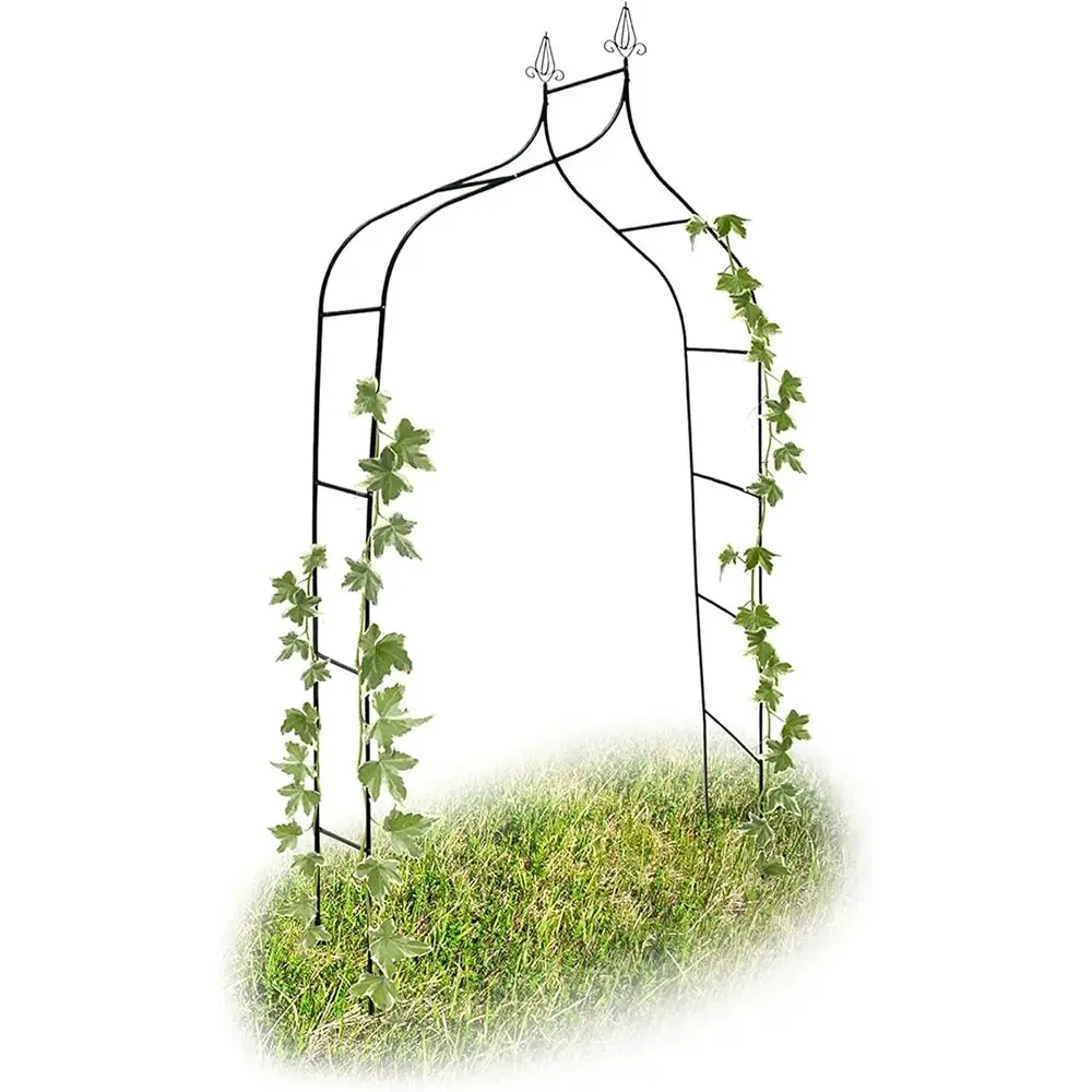 Elegant Outdoor Climbing Plant Arch for Garden and Event Decor
Elegant Outdoor Climbing Plant Arch for Garden and Event Decor