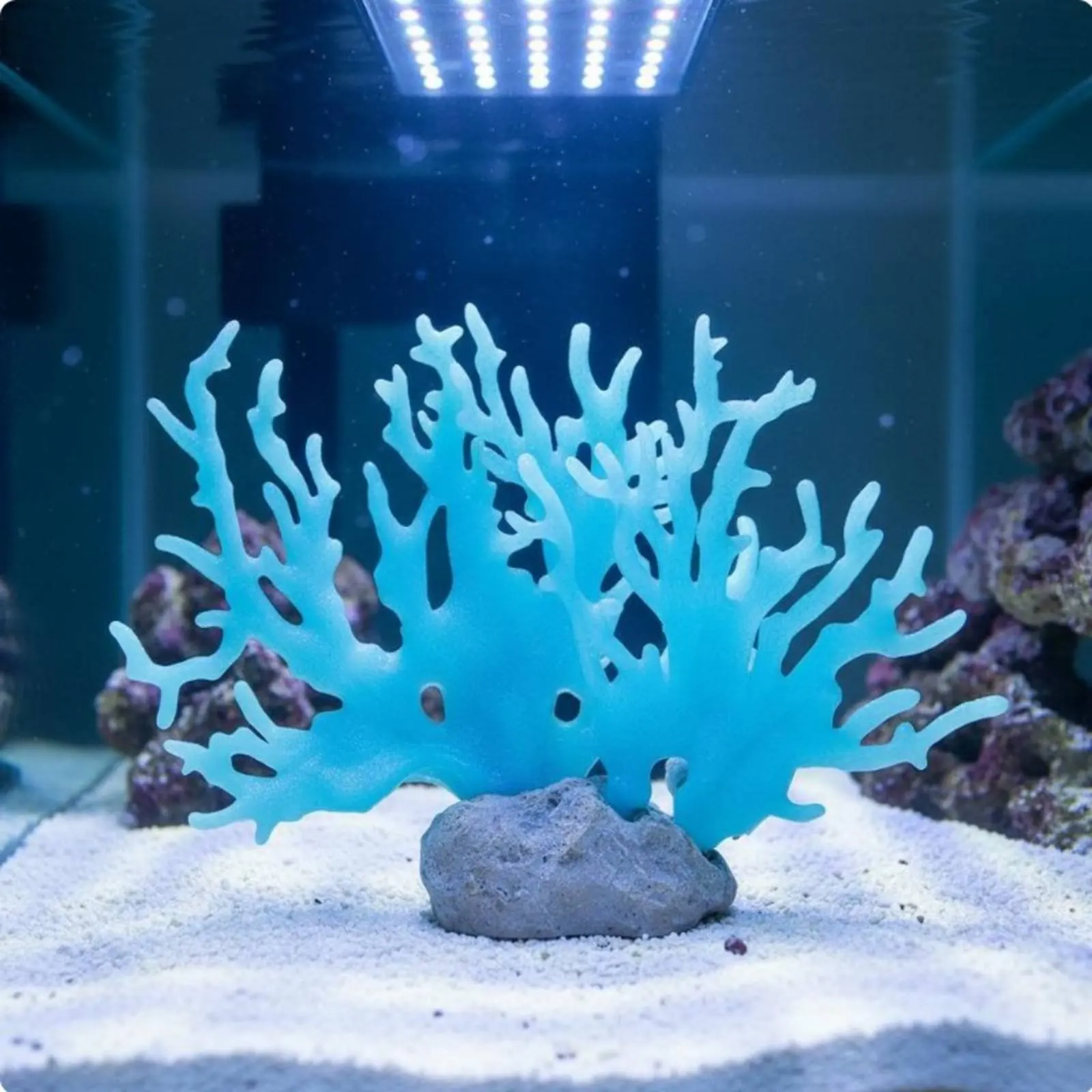 Artificial Coral Realistic Design Aquatic Enclosure Coral Reef Decor Aquatic Habitat Accessory Low Maintenance Easy to Install
Artificial Coral Realistic Design Aquatic Enclosure Coral Reef Decor Aquatic Habitat Accessory Low Maintenance Easy to Install