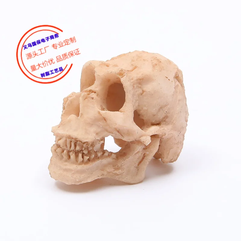 Supply Resin skulls, aquarium landscaping ape resin handicrafts personalized decorative ornaments
Supply Resin skulls, aquarium landscaping ape resin handicrafts personalized decorative ornaments