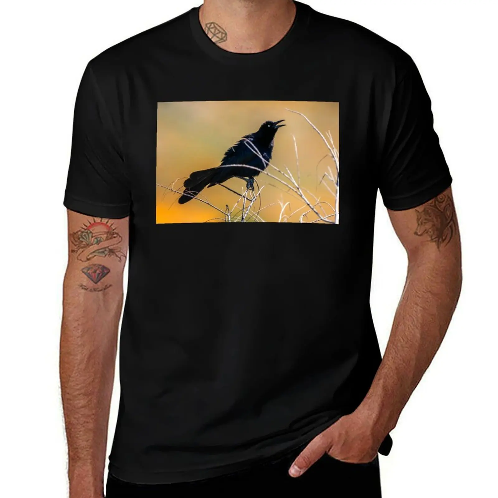 Great tailed Grackle T-Shirt plus sizes oversize t-shirts man football t shirt tshirts for men
Great tailed Grackle T-Shirt plus sizes oversize t-shirts man football t shirt tshirts for men