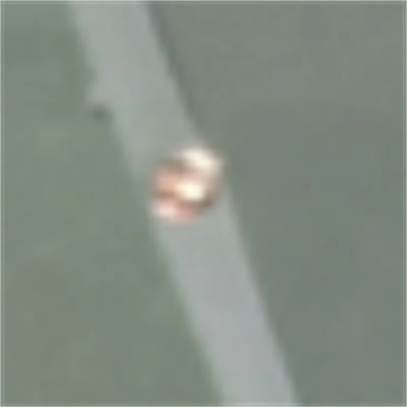 Macaroni Small Pasta Made Maker Spaghetti Make Machine Spaghetti Making Machine Pasta
Macaroni Small Pasta Made Maker Spaghetti Make Machine Spaghetti Making Machine Pasta