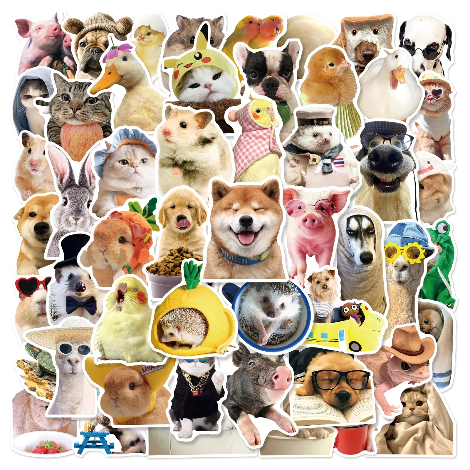 10/50PCS Cute Little Animal Dog Pig Hedgehog Alpaca Emoticon Pack Funny Realistic Style Decorative Waterproof Stickers Kids Toy
10/50PCS Cute Little Animal Dog Pig Hedgehog Alpaca Emoticon Pack Funny Realistic Style Decorative Waterproof Stickers Kids Toy