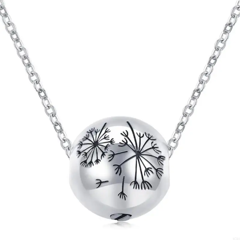 97BA Cremation Jewelry Urn Necklace for Ashes for Pet Memorial Jewelry Accessories
97BA Cremation Jewelry Urn Necklace for Ashes for Pet Memorial Jewelry Accessories
