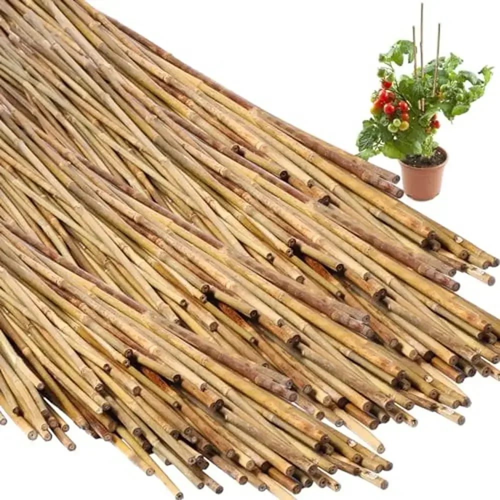 100 шт. бамбуковые опорные колья для растений, томатные фасоли, цветы, деревья, садовые палочки для дома и улицы, надежные, прочные, качественные, легко
100 шт. бамбуковые опорные колья для растений, томатные фасоли, цветы, деревья, садовые палочки для дома и улицы, надежные, прочные, качественные, легко