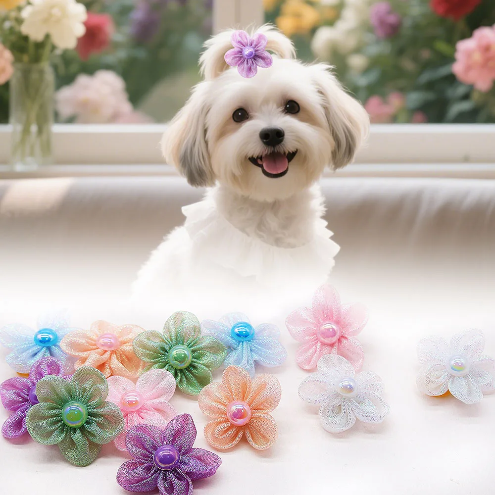 50pcs lace Flower Dog Hair Bows Pearl Rubber Bands Small Dog Puppy Grooming Bows For Dogs Pets Hair Accessories
50pcs lace Flower Dog Hair Bows Pearl Rubber Bands Small Dog Puppy Grooming Bows For Dogs Pets Hair Accessories