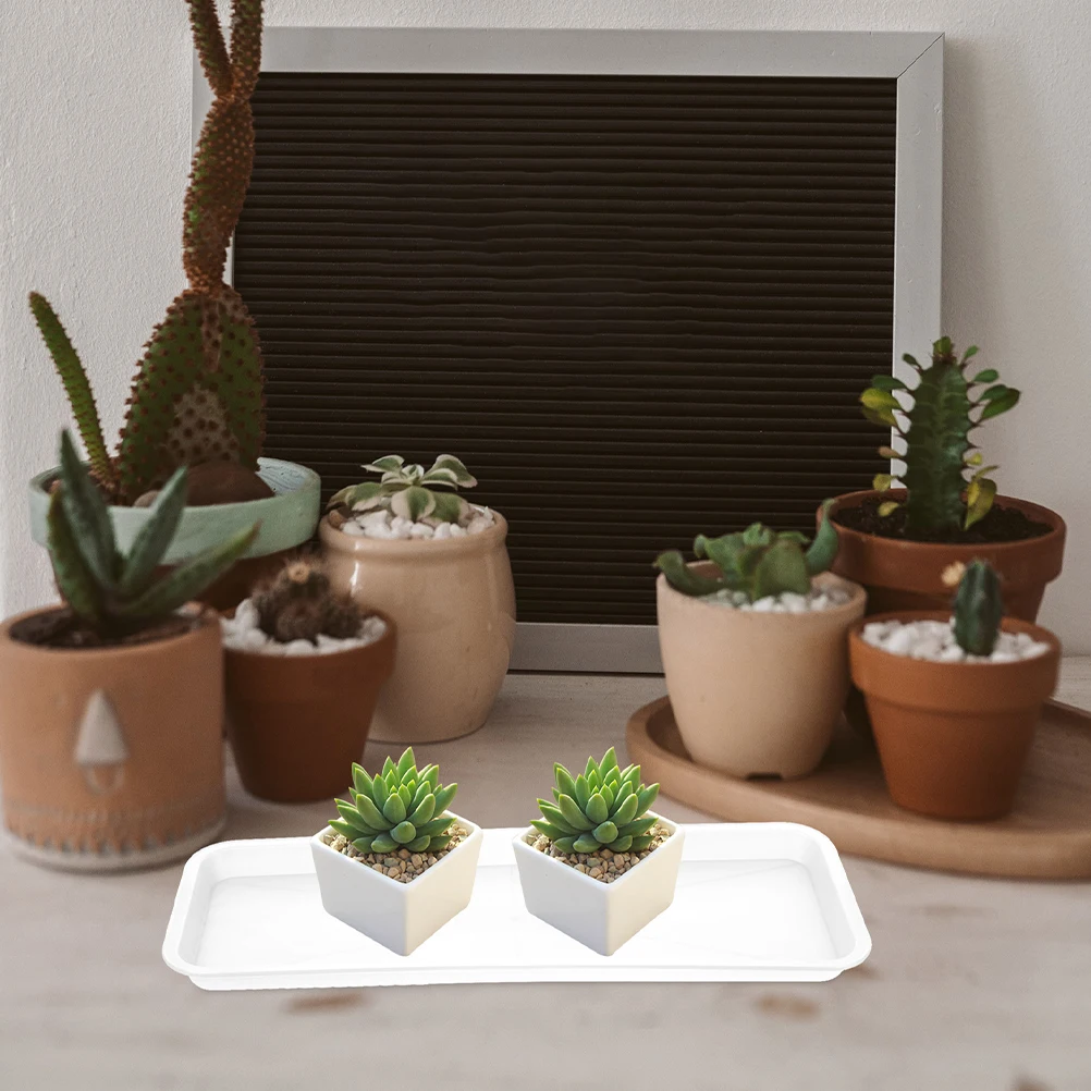5pcs Plastic Tray Rectangular Saucer for Plants Bonsai Drip Planter Water Catch Gardening Supplies Flower Pot Bottom
5pcs Plastic Tray Rectangular Saucer for Plants Bonsai Drip Planter Water Catch Gardening Supplies Flower Pot Bottom