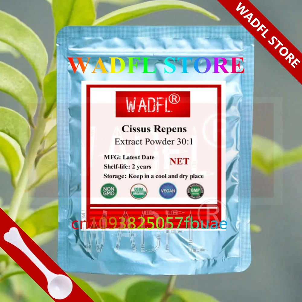 50G~1000G Customized 30/1Cissus Repens ExtractPowder with Aluminum Foil Bag for Global Buyers Fast Distributors
50G~1000G Customized 30/1Cissus Repens ExtractPowder with Aluminum Foil Bag for Global Buyers Fast Distributors