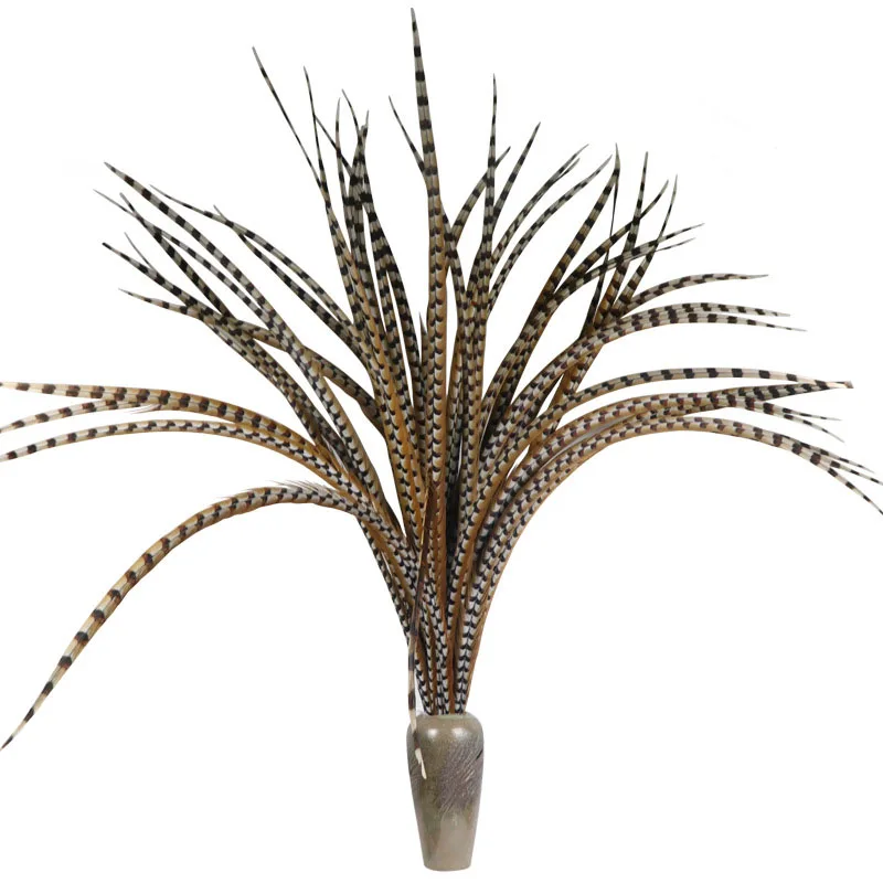 Natural Ringneck Pheasant Feathers for Crafts Head Extensions Long Feather Clothes Decor Wedding Festival Carnival Accessories
Natural Ringneck Pheasant Feathers for Crafts Head Extensions Long Feather Clothes Decor Wedding Festival Carnival Accessories