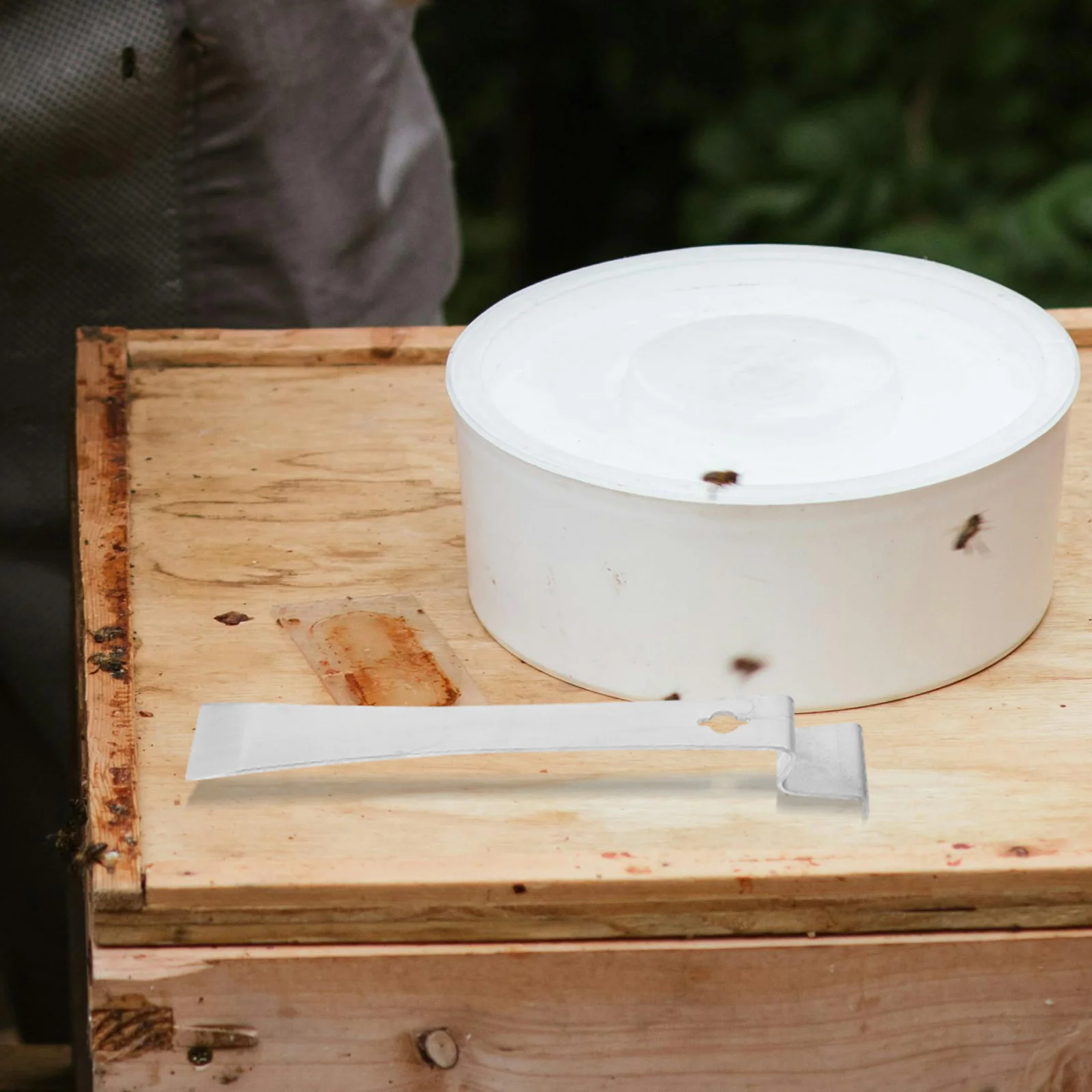 Beekeeping Hive Supplies Beehive Tool Scraper Stainless Steel Equipment Beekeepers
Beekeeping Hive Supplies Beehive Tool Scraper Stainless Steel Equipment Beekeepers