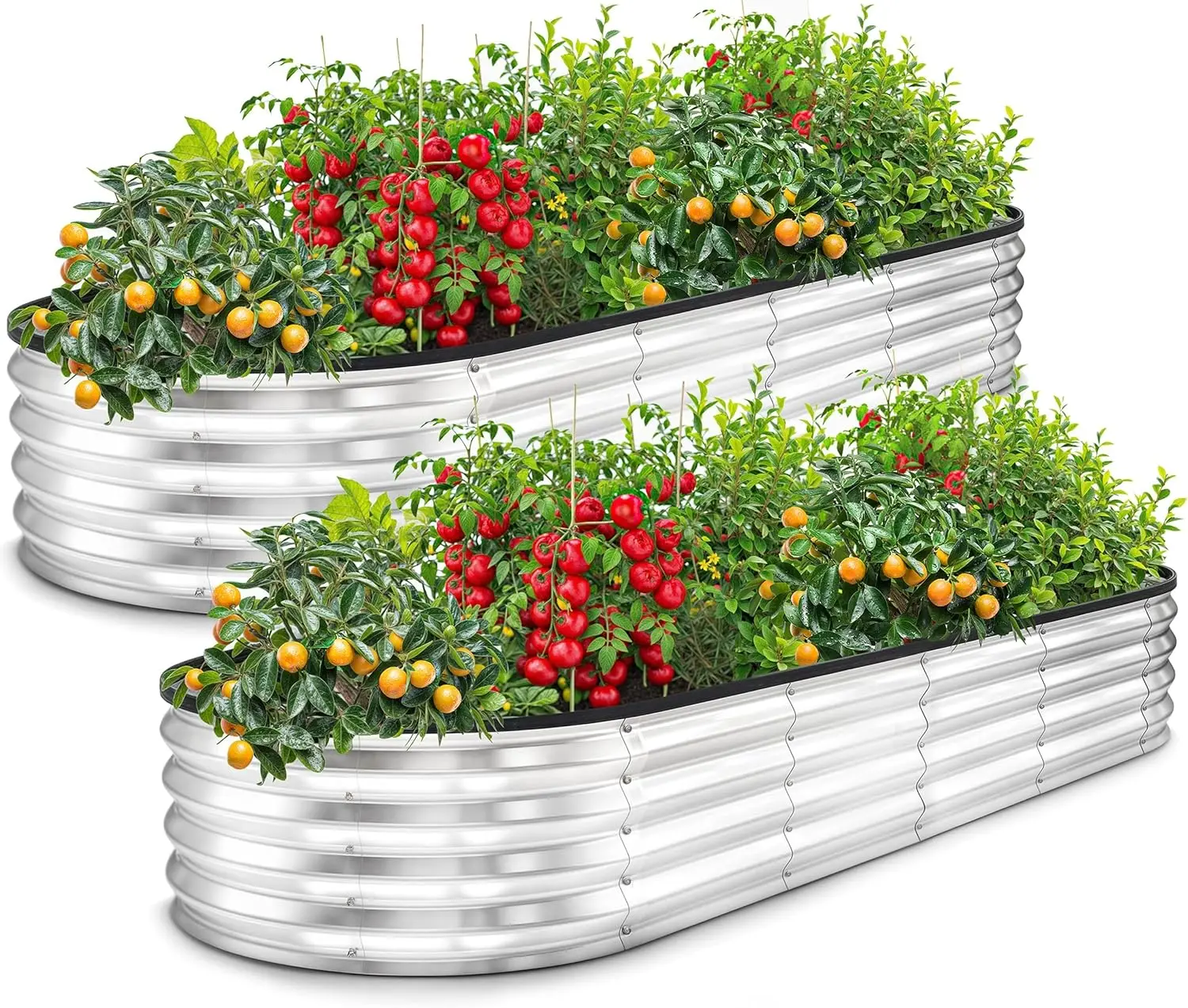 Galvanized Raised Garden Bed, 6x2x1 Ft, Lightweight Planter Boxes, Easy Assembly, Large for Vegetables, Fruits, Flowers, Silver, 2-Pack
Galvanized Raised Garden Bed, 6x2x1 Ft, Lightweight Planter Boxes, Easy Assembly, Large for Vegetables, Fruits, Flowers, Silver, 2-Pack