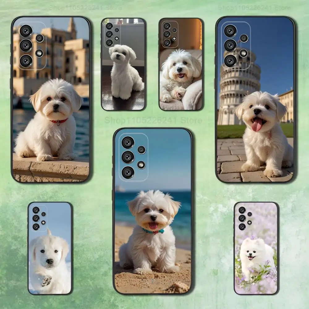 Cute Pet Maltese Dogs For Samsung Galaxy A73,31,32,72,41,53,52,71,22,5G,Note,J7,8,9 Soft Black Silicone Phone Case
Cute Pet Maltese Dogs For Samsung Galaxy A73,31,32,72,41,53,52,71,22,5G,Note,J7,8,9 Soft Black Silicone Phone Case