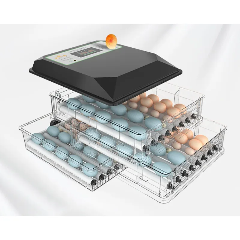 2025Automatic s Hatching Machine Quail Broiler Chicken
2025Automatic s Hatching Machine Quail Broiler Chicken