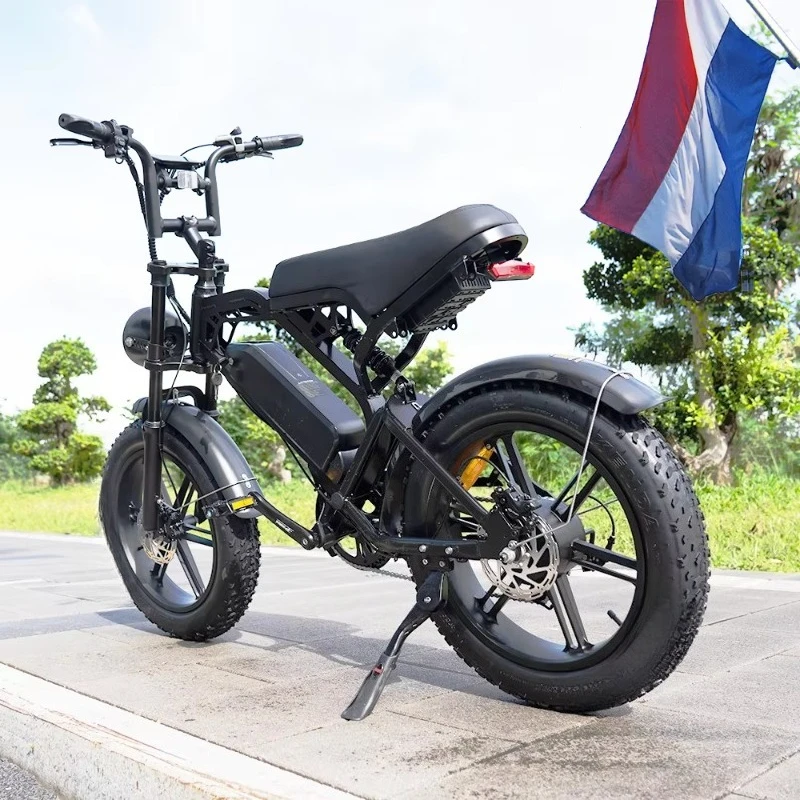 Electric Hybrid Bike Cheap Electric Bicycle Dirt Bike 500w Bike Electric
Electric Hybrid Bike Cheap Electric Bicycle Dirt Bike 500w Bike Electric
