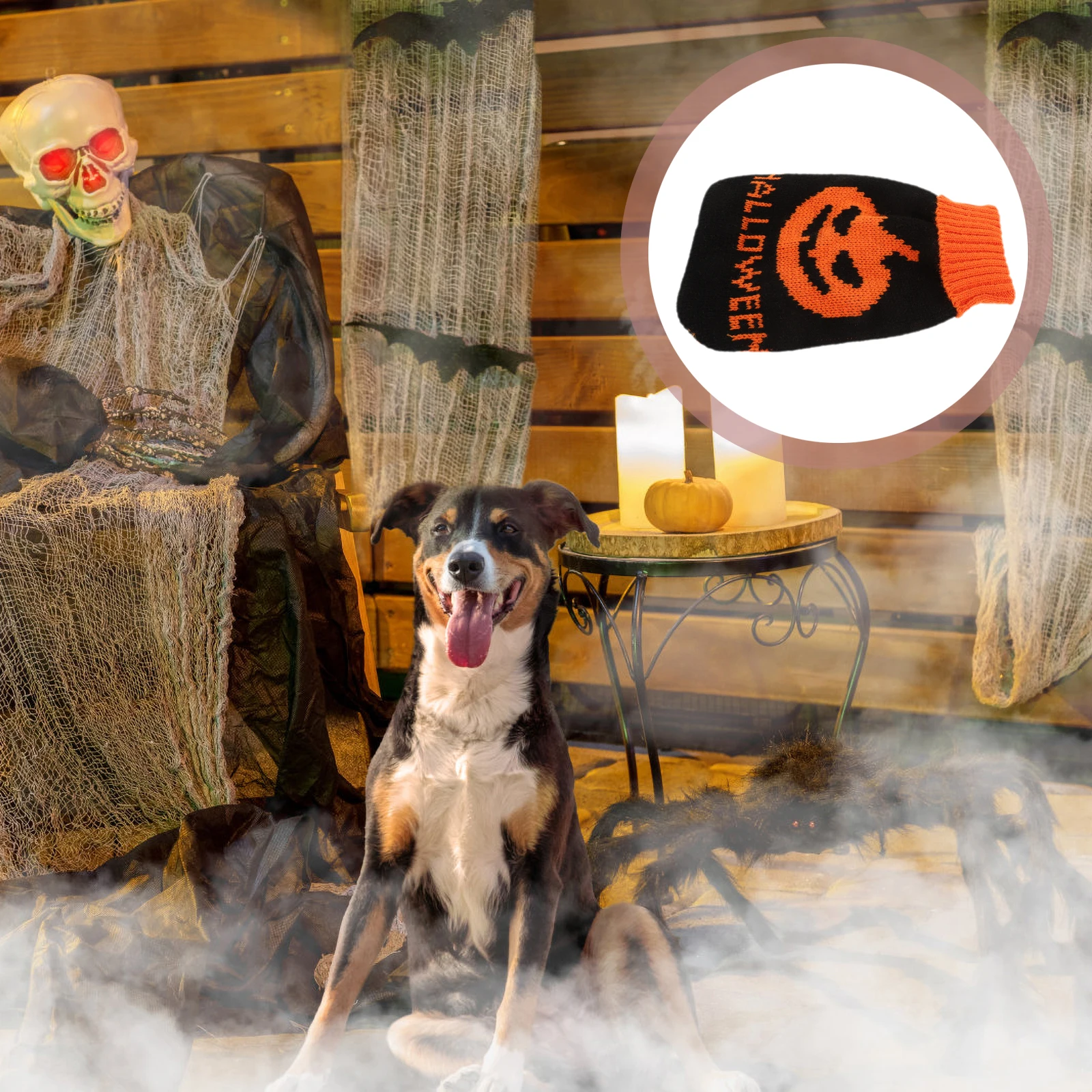 Pumpkin Sweater Coat Supplies Dog Holiday Halloween Clothes Pet Warm Clothing Apparel Decorate
Pumpkin Sweater Coat Supplies Dog Holiday Halloween Clothes Pet Warm Clothing Apparel Decorate