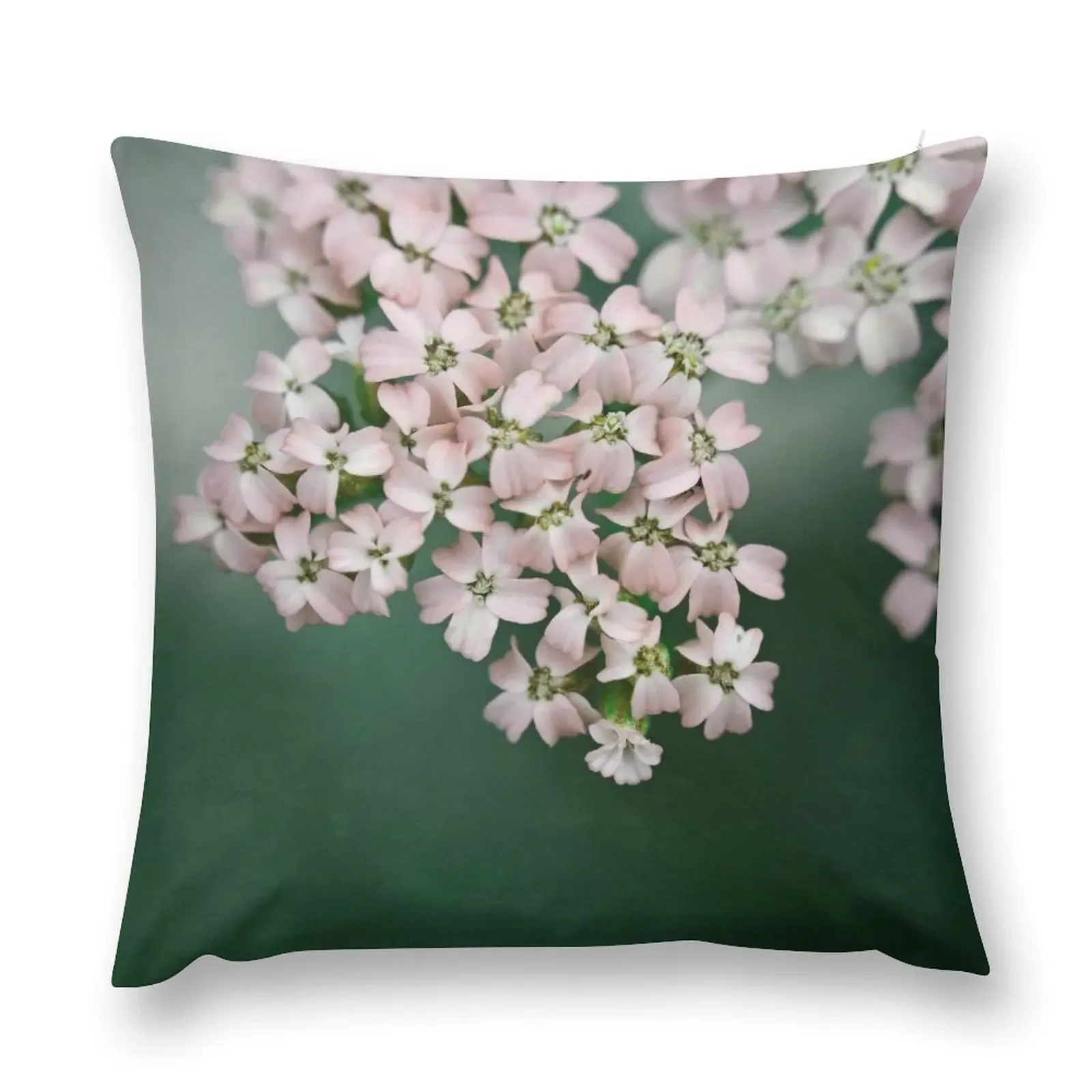 Blush Pink Flowers on Emerald Green Throw Pillow Elastic Cover For Sofa Pillowcases Decorative Cushions pillow
Blush Pink Flowers on Emerald Green Throw Pillow Elastic Cover For Sofa Pillowcases Decorative Cushions pillow