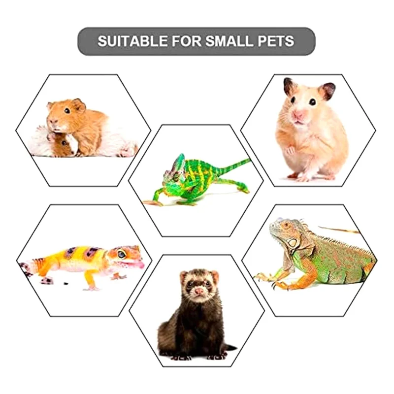 AD04-Popular Lizard Traction Rope Belt Wing Adjustable Portable Reptile Leash with Cool Wing for Gecko Bearded Dragon Hamsters-B
AD04-Popular Lizard Traction Rope Belt Wing Adjustable Portable Reptile Leash with Cool Wing for Gecko Bearded Dragon Hamsters-B