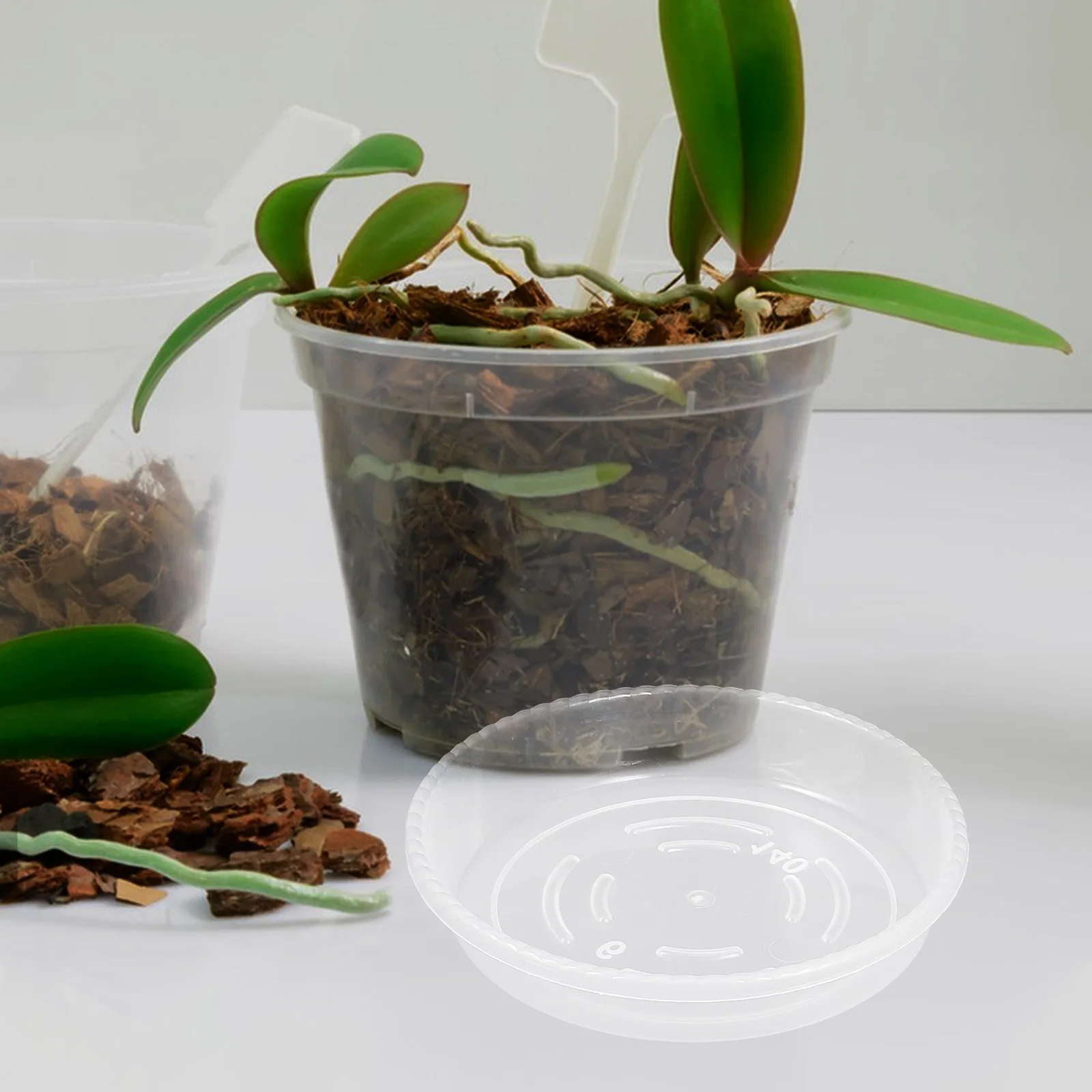 9Pcs Plastic Flower Pot Saucers Clear Plant Trays Water Catcher Durable Drip Plates Flower Pot Tray Plastic Flowerpot Tray
9Pcs Plastic Flower Pot Saucers Clear Plant Trays Water Catcher Durable Drip Plates Flower Pot Tray Plastic Flowerpot Tray