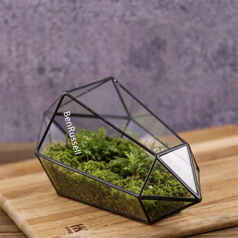Crystal Shape Geometric Glass Terrarium Vase, Micro Landscape Planter for Moss Succulents Flowers & Tabletop Decor
Crystal Shape Geometric Glass Terrarium Vase, Micro Landscape Planter for Moss Succulents Flowers & Tabletop Decor