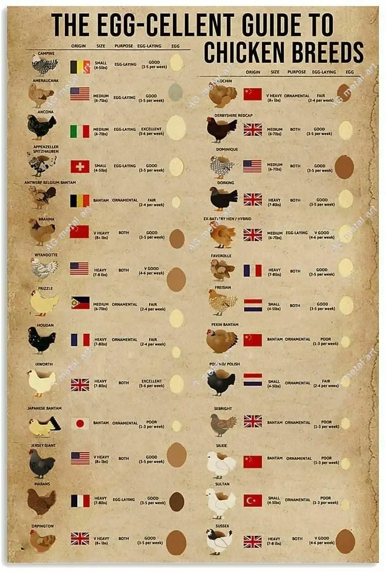 Retro Tin Sign Art Poster Guide To Chicken Breed Kitchen Home Decoration Restaurant Farm Metal Sign posters 8x12 Inches
Retro Tin Sign Art Poster Guide To Chicken Breed Kitchen Home Decoration Restaurant Farm Metal Sign posters 8x12 Inches