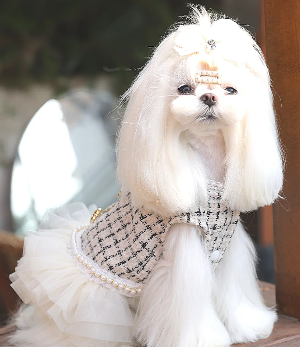Luxurious Court-Style Noblewoman Classic Pet Clothing Brand Luxury Dog Dress Coat
Luxurious Court-Style Noblewoman Classic Pet Clothing Brand Luxury Dog Dress Coat