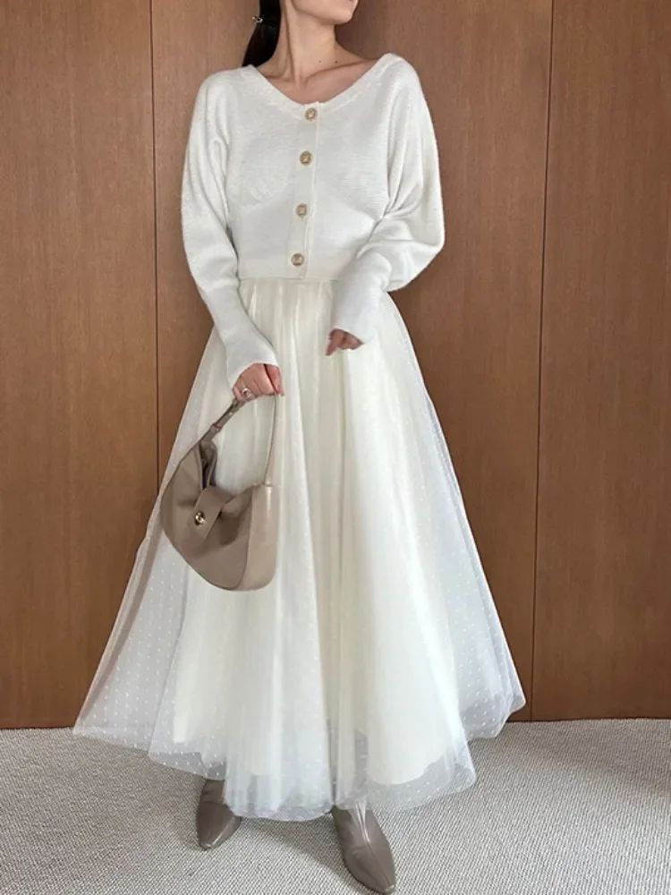 Japan Style Elegant Long Sleeve Two-piece Set V-neck Knit Cardigan+gauze Mesh Design Skirt 2024 Autumn Winter Fasion Simple Suit
Japan Style Elegant Long Sleeve Two-piece Set V-neck Knit Cardigan+gauze Mesh Design Skirt 2024 Autumn Winter Fasion Simple Suit