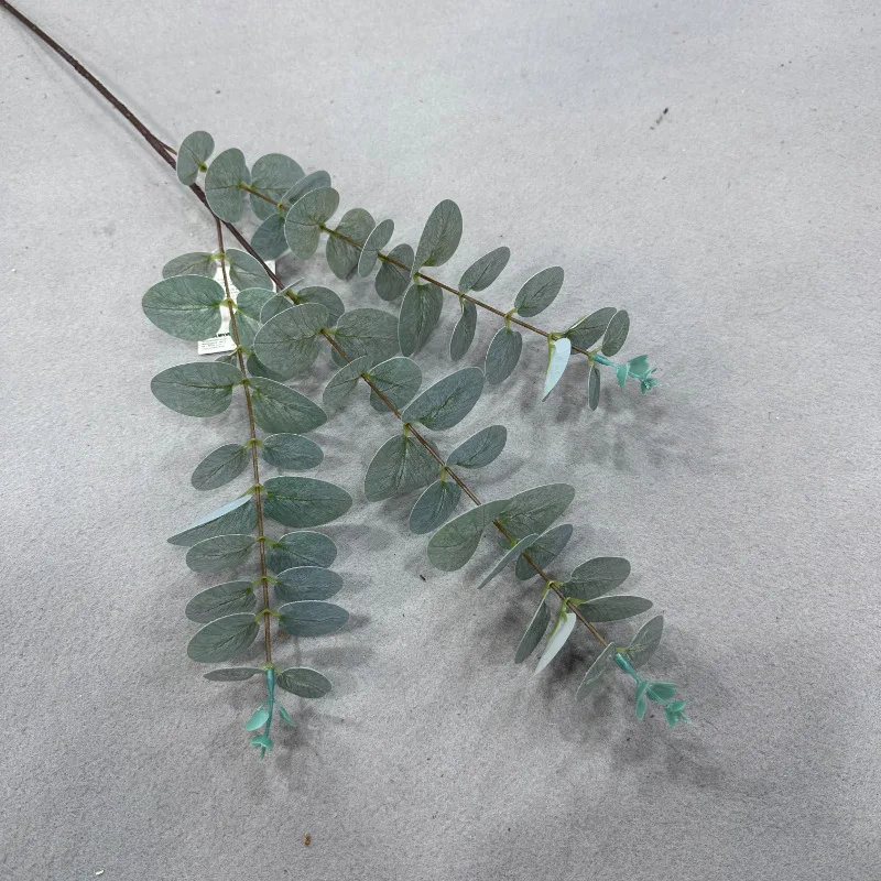 5Pc Artificial Plastic Eucalyptus Leaf Diy Wedding Road Leading Floral Arrangement Fake Plants Eucalyptus Leaves Home Decoration
5Pc Artificial Plastic Eucalyptus Leaf Diy Wedding Road Leading Floral Arrangement Fake Plants Eucalyptus Leaves Home Decoration