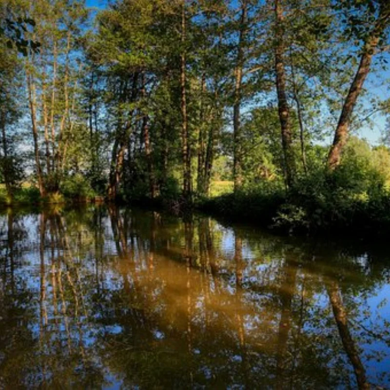 Водонепроницаемый матовый двигатель 540 80T 15T 25T 35T 45T 55T Универсальный для 1/8 1/10 RC Rock Crawler Car TRX4 SCX10 Yikong CC01 D90 90046 
Водонепроницаемый матовый двигатель 540 80T 15T 25T 35T 45T 55T Универсальный для 1/8 1/10 RC Rock Crawler Car TRX4 SCX10 Yikong CC01 D90 90046