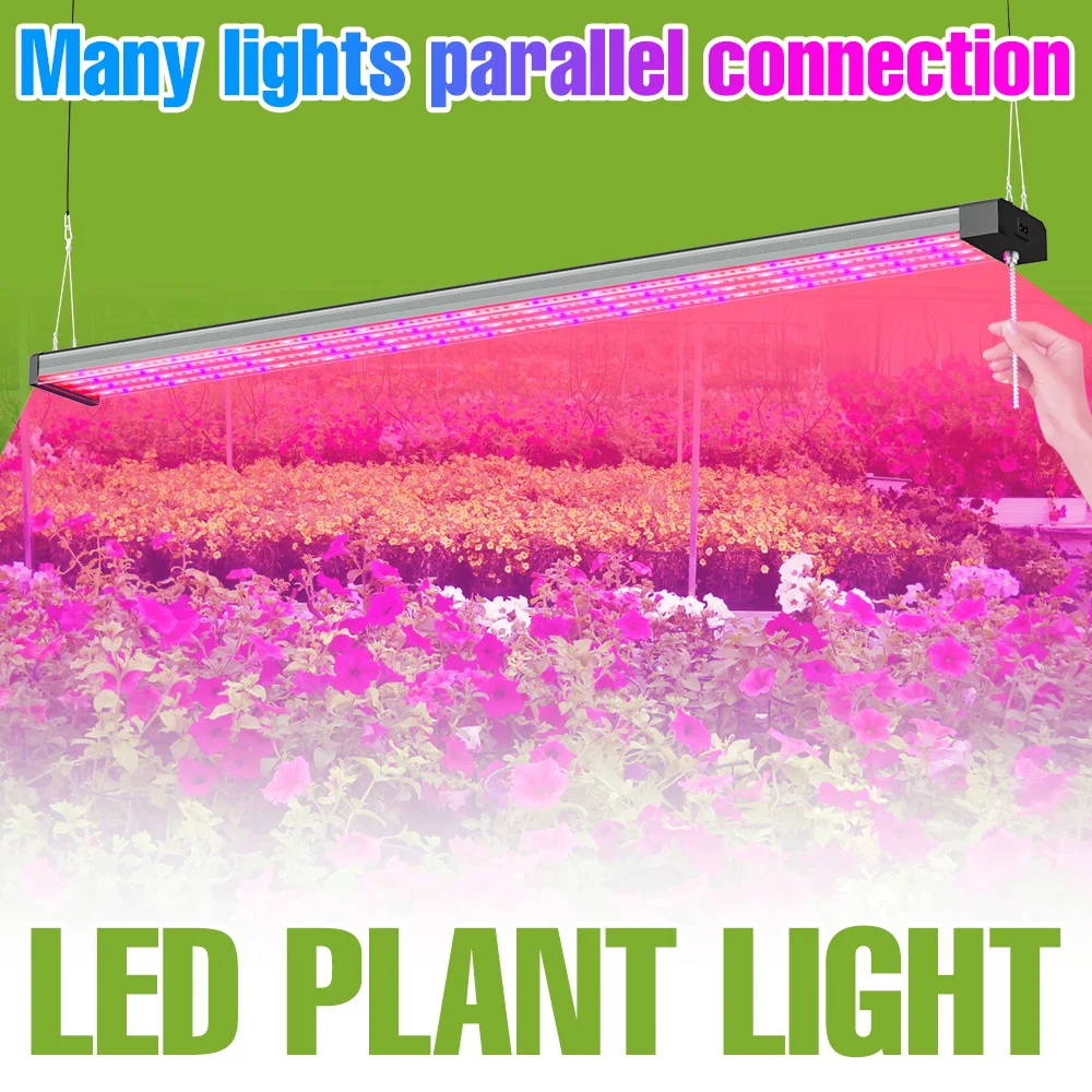 LED Quantum Board Grow Light UV/IR Full Spectrum Hydroponics Plant Lamp Indoor Flowers Greenhouse Tent Cultivation Fill Lighting
LED Quantum Board Grow Light UV/IR Full Spectrum Hydroponics Plant Lamp Indoor Flowers Greenhouse Tent Cultivation Fill Lighting