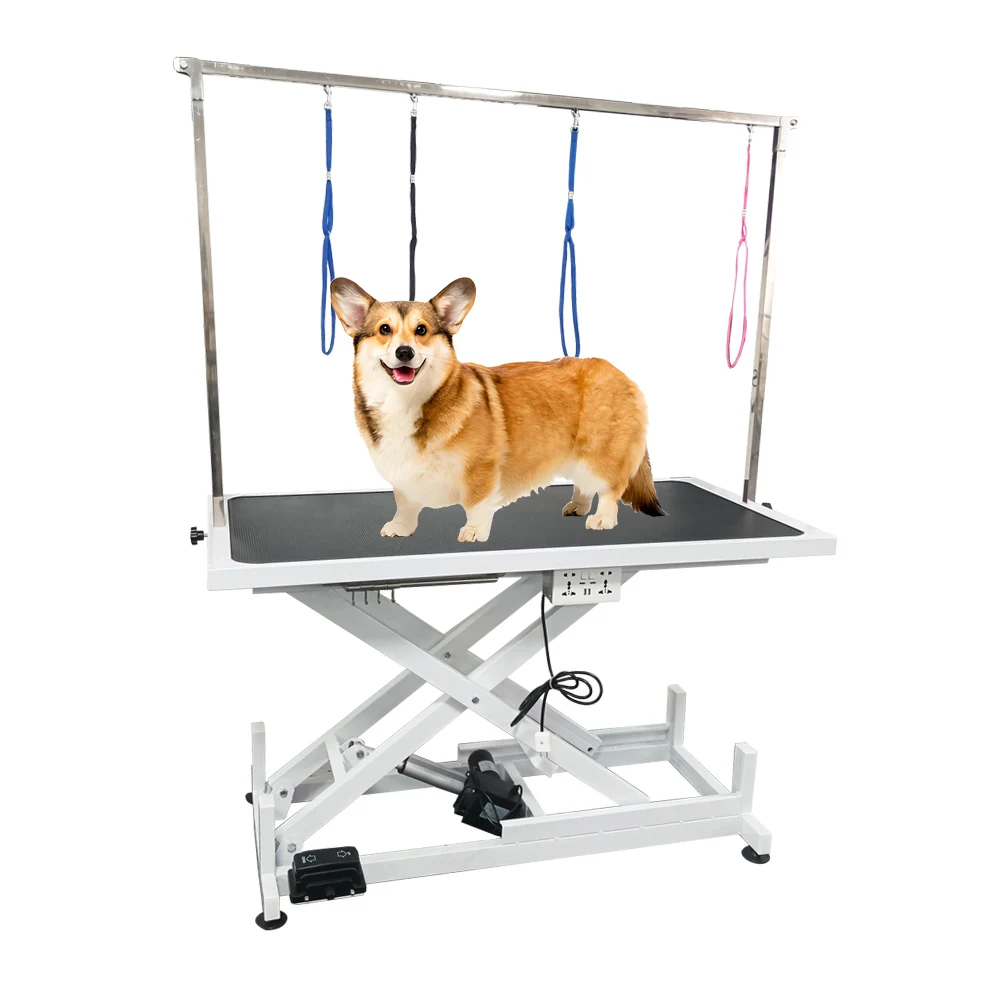 STLF Medical LED Light Veterinary Operation Hairdressing Table for Dogs Electric Pet Grooming Table Lifting Feature Stainless St
STLF Medical LED Light Veterinary Operation Hairdressing Table for Dogs Electric Pet Grooming Table Lifting Feature Stainless St