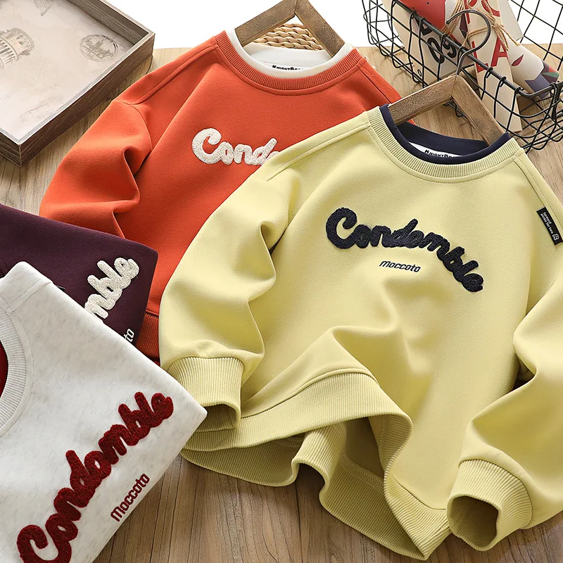 Children's wear children's hoodie 2025 spring new crewneck top for children with two leisure youth long sleeves
Children's wear children's hoodie 2025 spring new crewneck top for children with two leisure youth long sleeves