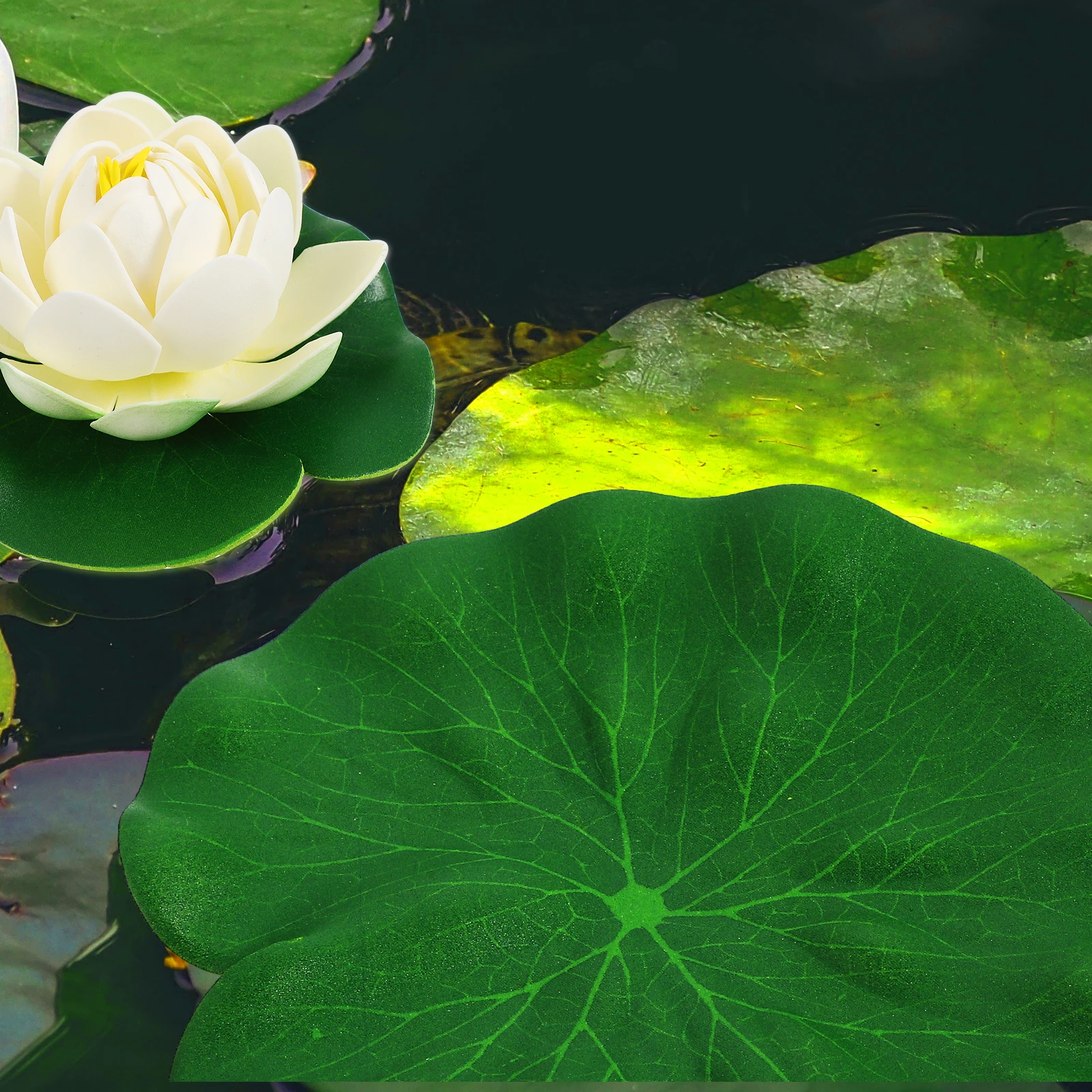 12 Pcs Artificial Lotus Flowers 6 White 11cm 6 Green 18cm Leaves Floating Decor for Aquarium Pond Garden Safe Material Lifelike
12 Pcs Artificial Lotus Flowers 6 White 11cm 6 Green 18cm Leaves Floating Decor for Aquarium Pond Garden Safe Material Lifelike