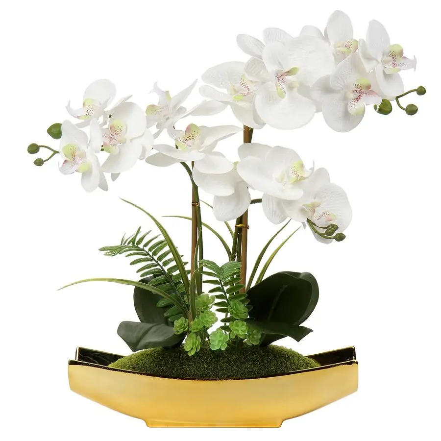 Orchids Artificial Flowers 15 White Phalaenopsis Orchid with Gold Pots Real Touch Faux Orchid Flower for Home Office Bedroom Tab
Orchids Artificial Flowers 15 White Phalaenopsis Orchid with Gold Pots Real Touch Faux Orchid Flower for Home Office Bedroom Tab