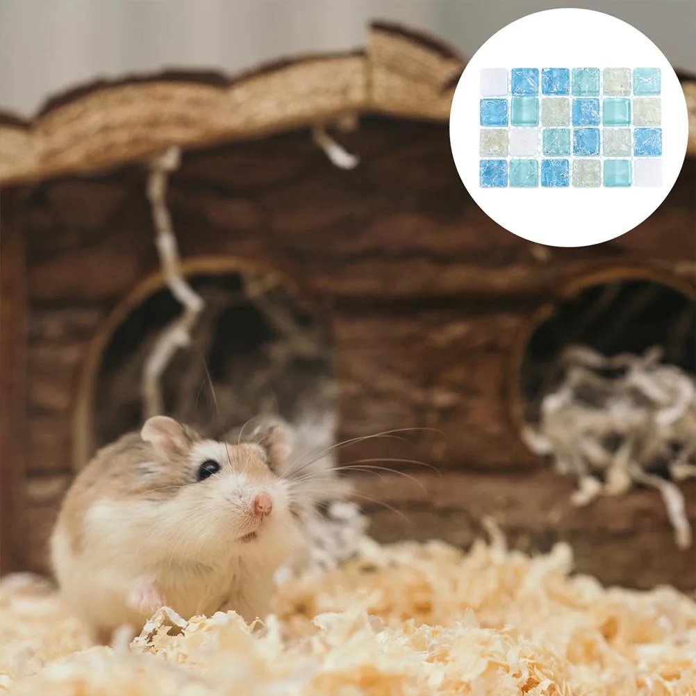 2pcs Pet Cooling Plate Summer Bed for Puppy Hamsters Durable Premium Material Adorable Sleep Mat Healthy Structure Colors
2pcs Pet Cooling Plate Summer Bed for Puppy Hamsters Durable Premium Material Adorable Sleep Mat Healthy Structure Colors