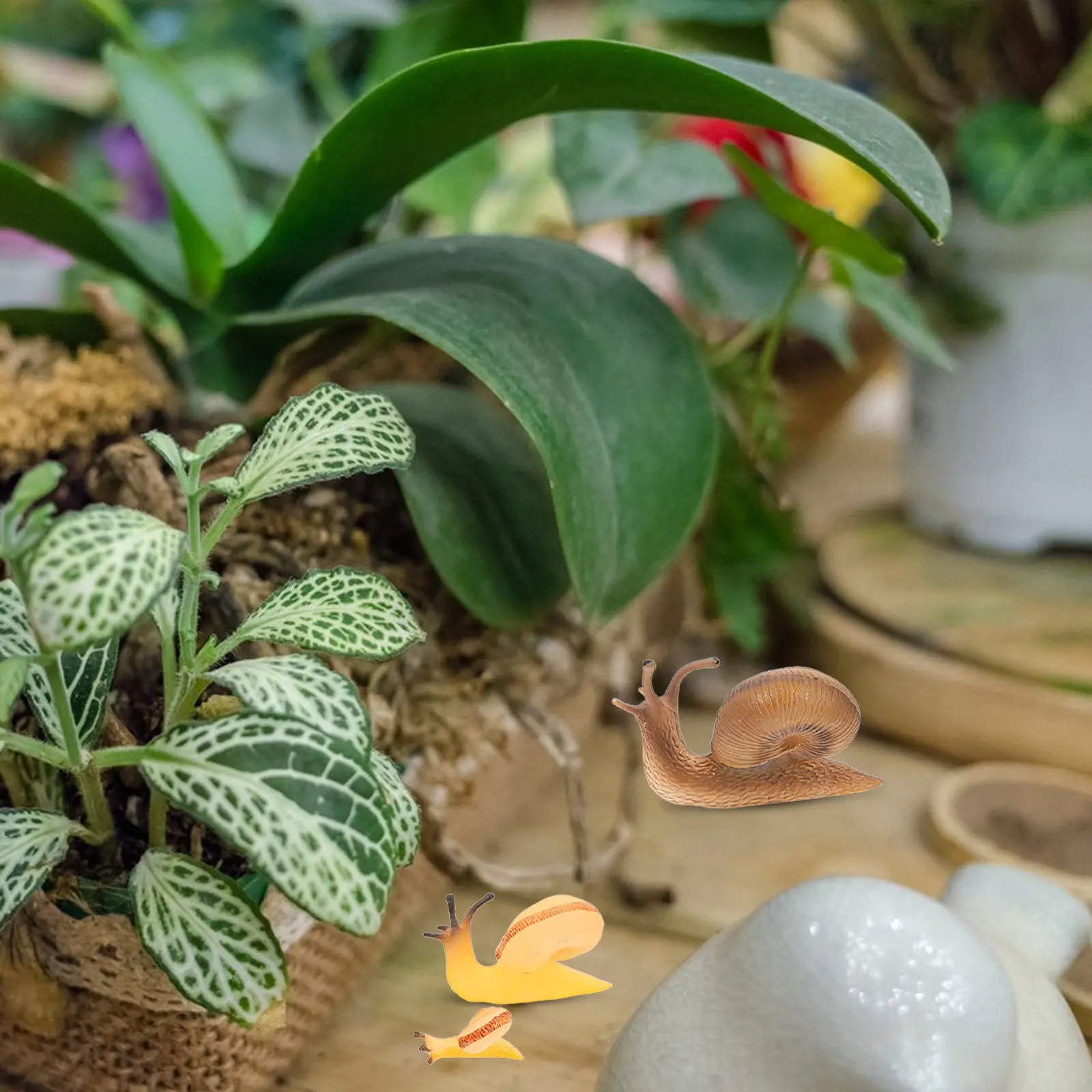 5Pcs Realistic Simulation Snail Figures Educational Animal Cognitive Decor Miniature Snail Statues for Kids Collectors Garden
5Pcs Realistic Simulation Snail Figures Educational Animal Cognitive Decor Miniature Snail Statues for Kids Collectors Garden